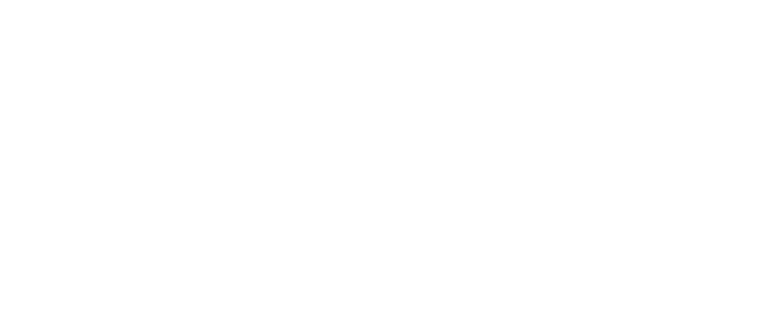 Party Fowl logo - Metro Detroit cover band specializing in 90s and 2000s hits